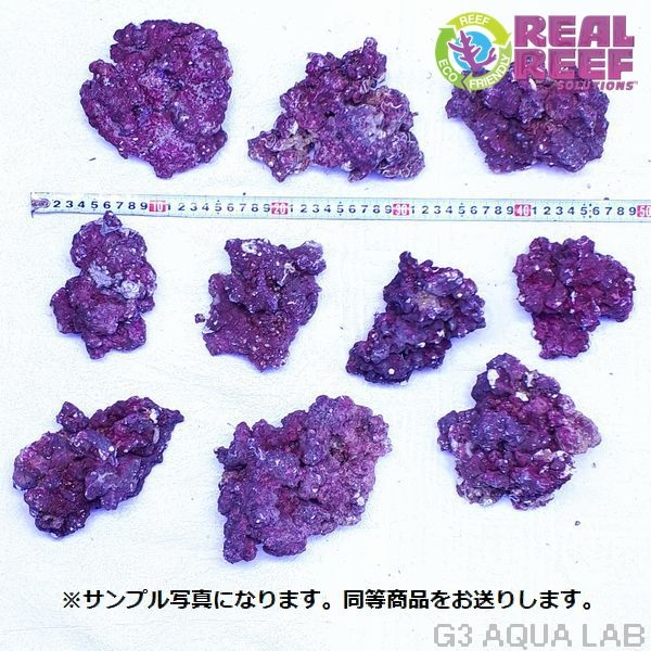 人工ライブロック Real Reef Rock SMサイズ 約5kg