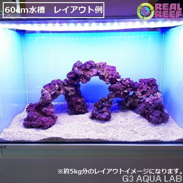 �͹��饤�֥��å� Real Reef Rock SM������ ��5kg
