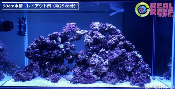 �͹��饤�֥��å� Real Reef Rock SM������ ��5kg