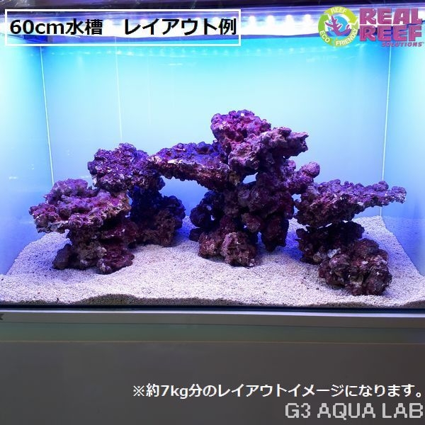 人工ライブロック Real Reef Rock S&Mサイズ 約7kg