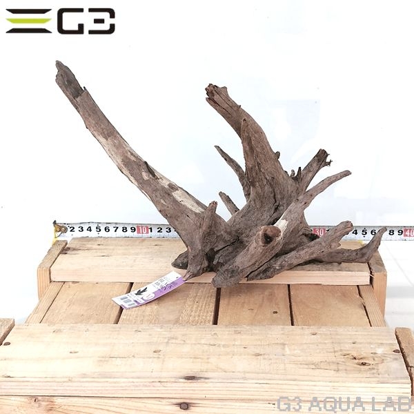 No,200�����ͥ��ߥե����֥�å��ۡ���ή�ڡ�M������