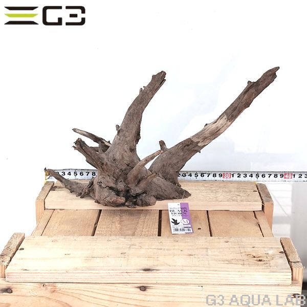 No,200�����ͥ��ߥե����֥�å��ۡ���ή�ڡ�M������