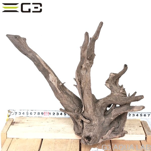 No,204 ソネケミファ ブラックホーン流木 Mサイズ