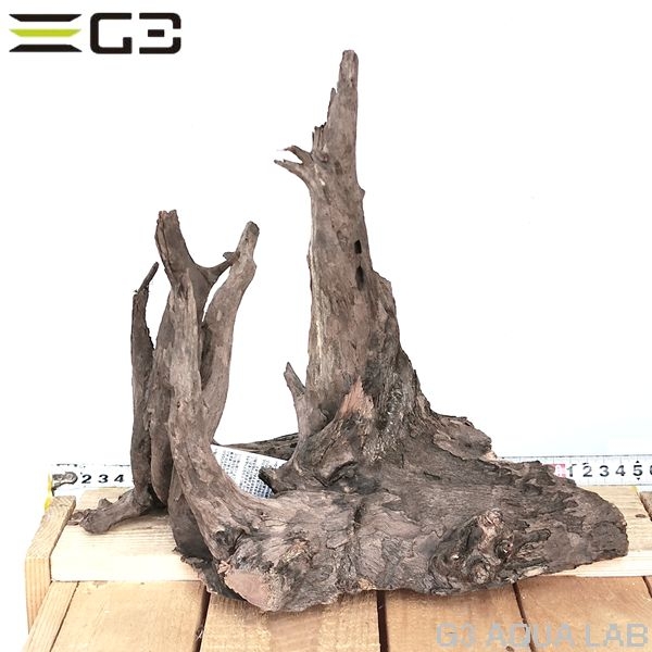 No,205�����ͥ��ߥե����֥�å��ۡ���ή�ڡ�M������