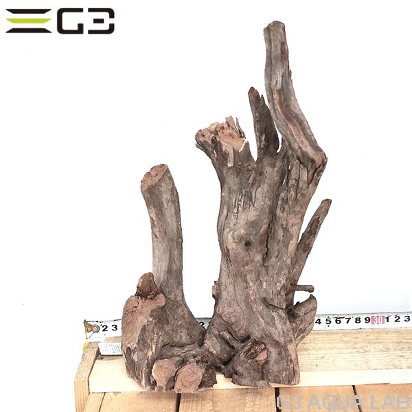 No,206 ソネケミファ ブラックホーン流木 Mサイズ