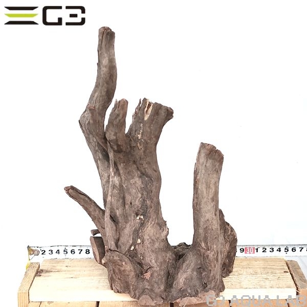 No,206�����ͥ��ߥե����֥�å��ۡ���ή�ڡ�M������