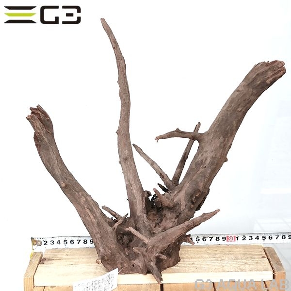 No,207�����ͥ��ߥե����֥�å��ۡ���ή�ڡ�M������