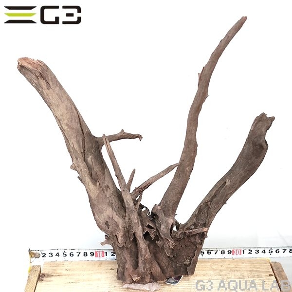 No,207�����ͥ��ߥե����֥�å��ۡ���ή�ڡ�M������