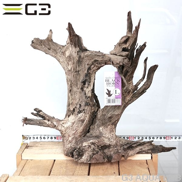 No,301�����ͥ��ߥե����֥�å��ۡ���ή�ڡ�L������