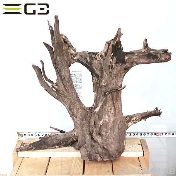 No,301�����ͥ��ߥե����֥�å��ۡ���ή�ڡ�L������