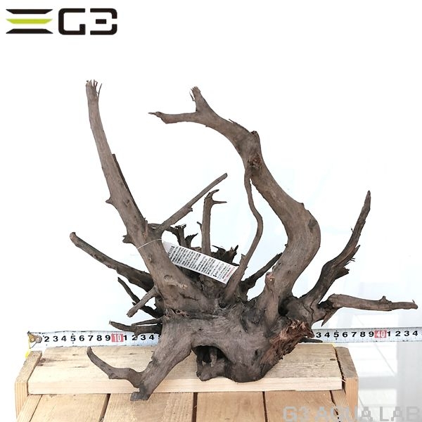 No,302�����ͥ��ߥե����֥�å��ۡ���ή�ڡ�L������