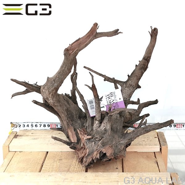 No,302�����ͥ��ߥե����֥�å��ۡ���ή�ڡ�L������