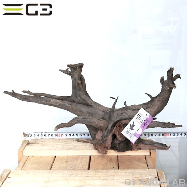 No,303 ソネケミファ ブラックホーン流木 Lサイズ