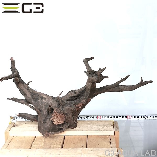 No,303�����ͥ��ߥե����֥�å��ۡ���ή�ڡ�L������