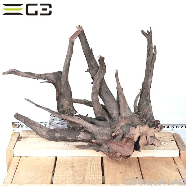 No,304�����ͥ��ߥե����֥�å��ۡ���ή�ڡ�L������