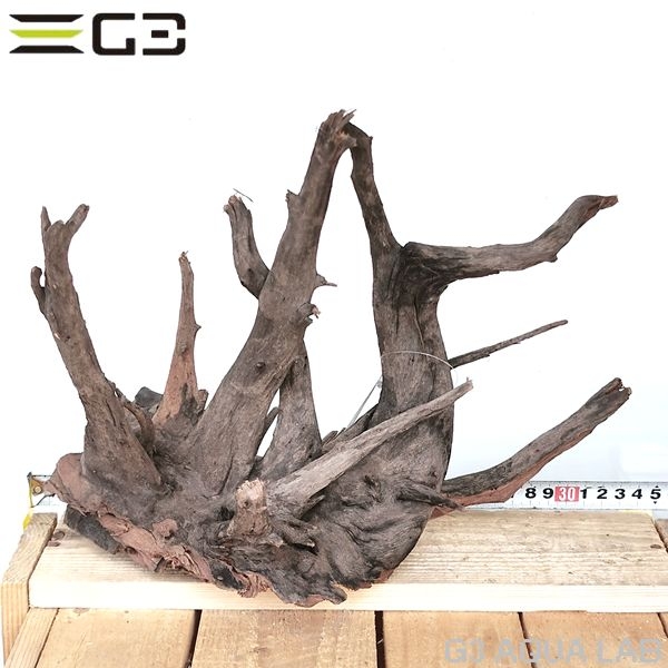 No,304�����ͥ��ߥե����֥�å��ۡ���ή�ڡ�L������