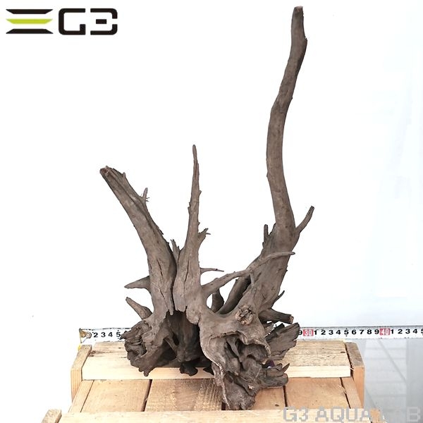 No,305�����ͥ��ߥե����֥�å��ۡ���ή�ڡ�L������