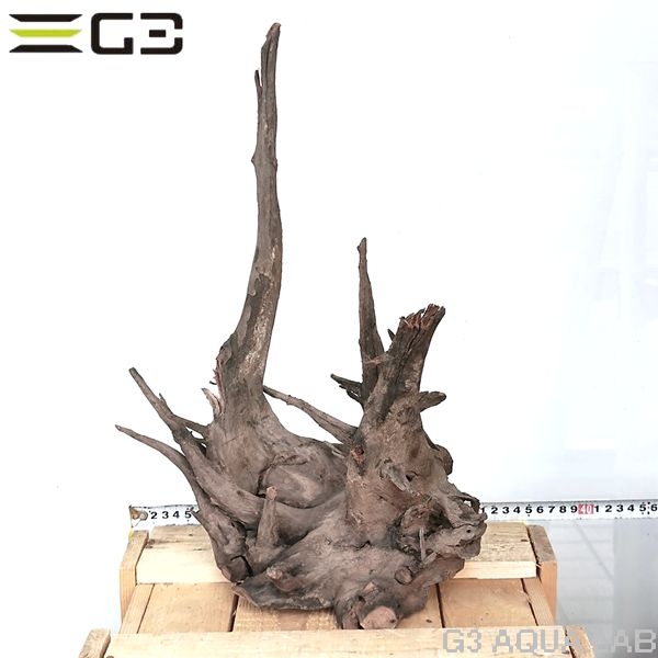 No,305 ソネケミファ ブラックホーン流木 Lサイズ