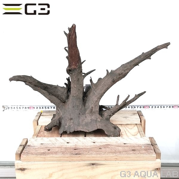 No,306 ソネケミファ ブラックホーン流木 Lサイズ