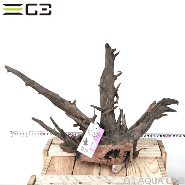 No,306�����ͥ��ߥե����֥�å��ۡ���ή�ڡ�L������