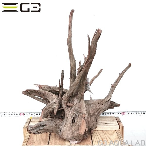 No,307�����ͥ��ߥե����֥�å��ۡ���ή�ڡ�L������