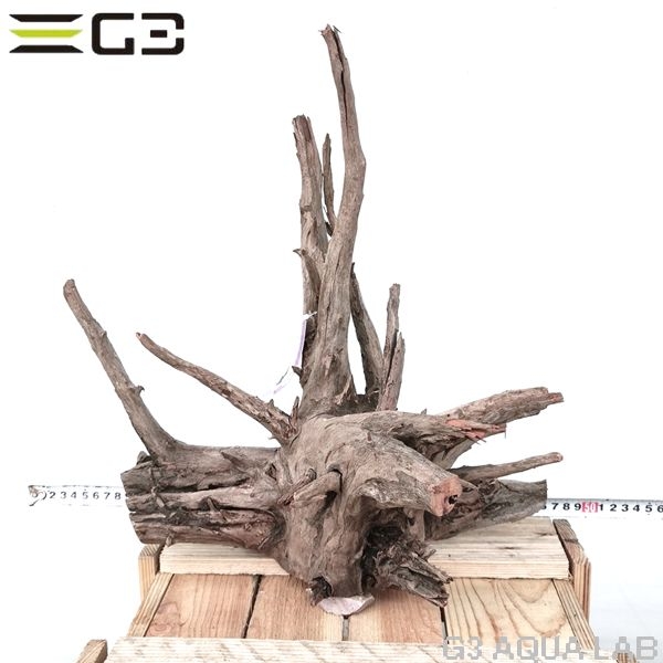 No,307�����ͥ��ߥե����֥�å��ۡ���ή�ڡ�L������