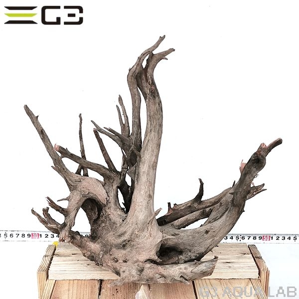 No,309 ソネケミファ ブラックホーン流木 Lサイズ