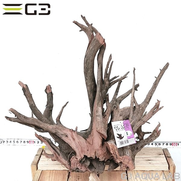 No,309�����ͥ��ߥե����֥�å��ۡ���ή�ڡ�L������