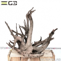 No,309�����ͥ��ߥե����֥�å��ۡ���ή�ڡ�L������