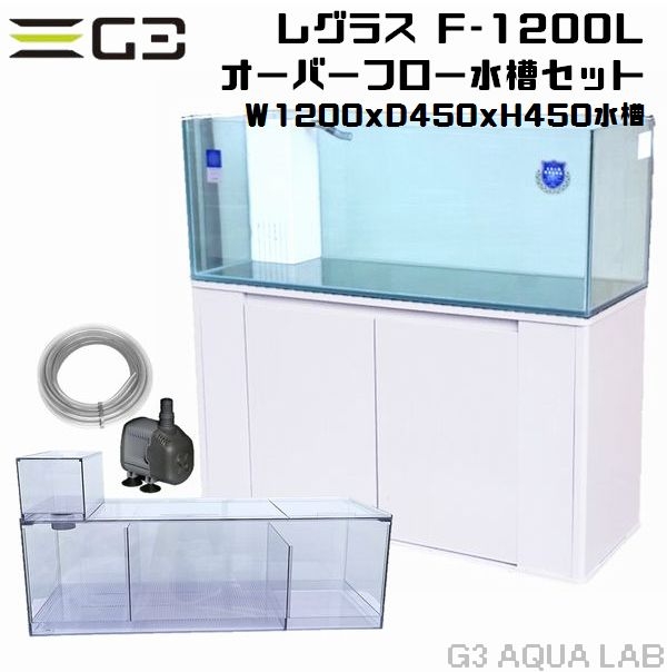 ���ȥ֥� �쥰�饹F-1200L 120cm�����С��ե������饹���奻�å�