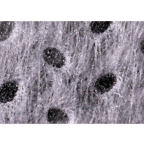 �ڼ��󤻡�DD CleariSea SK3000�����ѥե꡼�������롡40m��