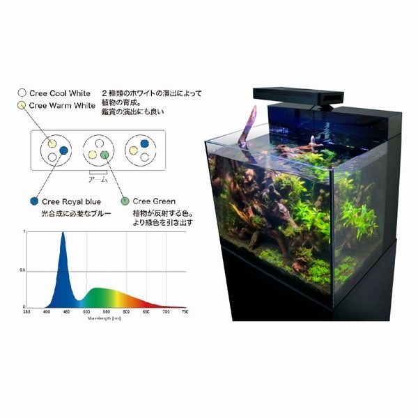 �����뭶 �ե�å���SHELL MK2��[4540103440212]