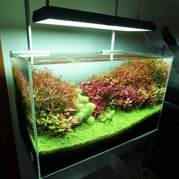 Chihiros Aquatic Studio VIVID������С�[4533760535063]
