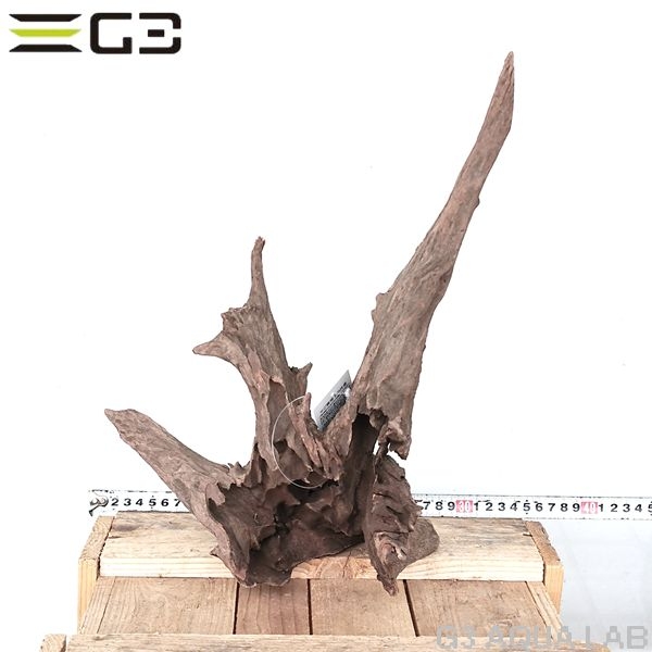 No,310�����ͥ��ߥե����֥�å��ۡ���ή�ڡ�L������