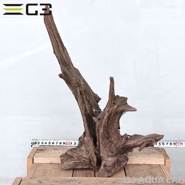 No,310 ソネケミファ ブラックホーン流木 Lサイズ