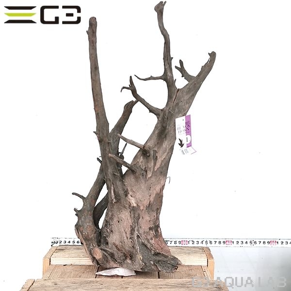 No,313�����ͥ��ߥե����֥�å��ۡ���ή�ڡ�L������