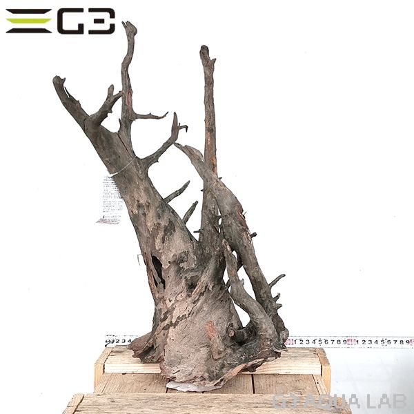 No,313�����ͥ��ߥե����֥�å��ۡ���ή�ڡ�L������