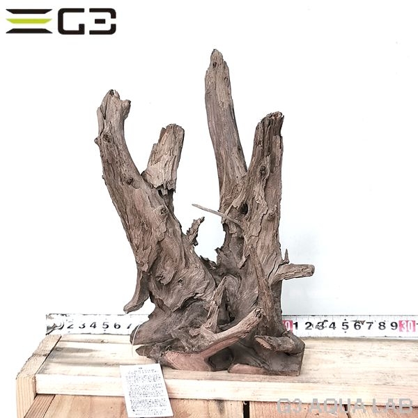 No,603 ソネケミファ ブラックホーン流木 Sサイズ