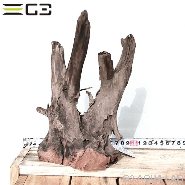 No,603�����ͥ��ߥե����֥�å��ۡ���ή�ڡ�S������