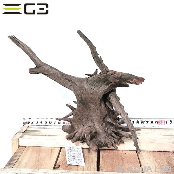 No,604�����ͥ��ߥե����֥�å��ۡ���ή�ڡ�S������