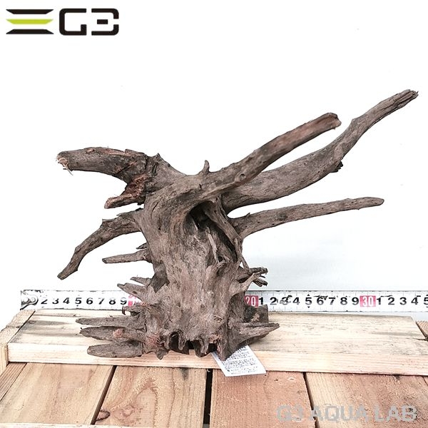 No,604�����ͥ��ߥե����֥�å��ۡ���ή�ڡ�S������