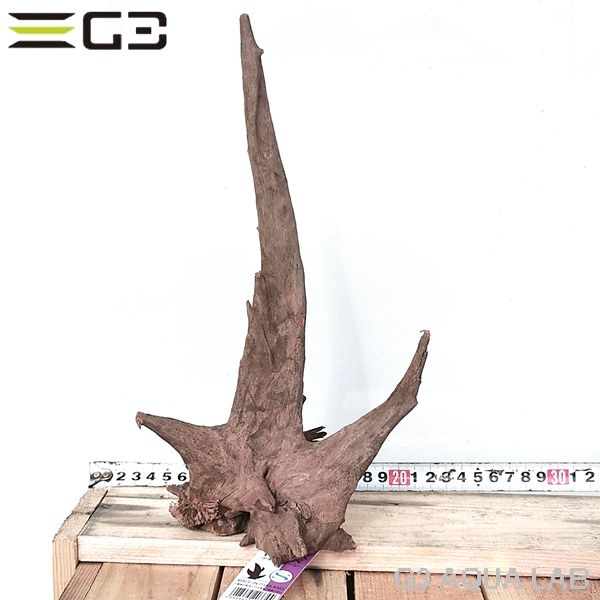 No,605 ソネケミファ ブラックホーン流木 Sサイズ