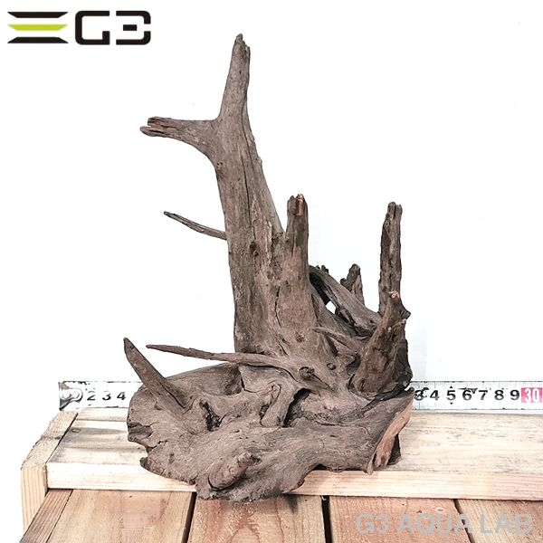 No,606�����ͥ��ߥե����֥�å��ۡ���ή�ڡ�S������