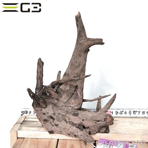 No,606 ソネケミファ ブラックホーン流木 Sサイズ