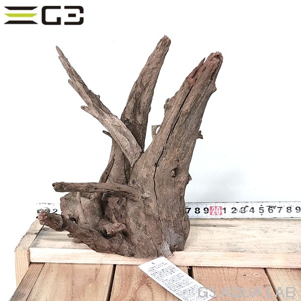 No,607 ソネケミファ ブラックホーン流木 Sサイズ