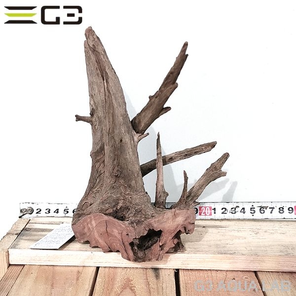 No,607�����ͥ��ߥե����֥�å��ۡ���ή�ڡ�S������