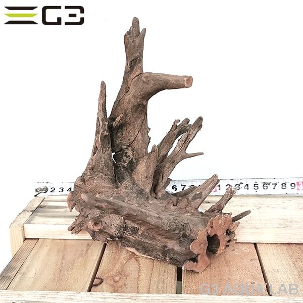 No,609�����ͥ��ߥե����֥�å��ۡ���ή�ڡ�S������