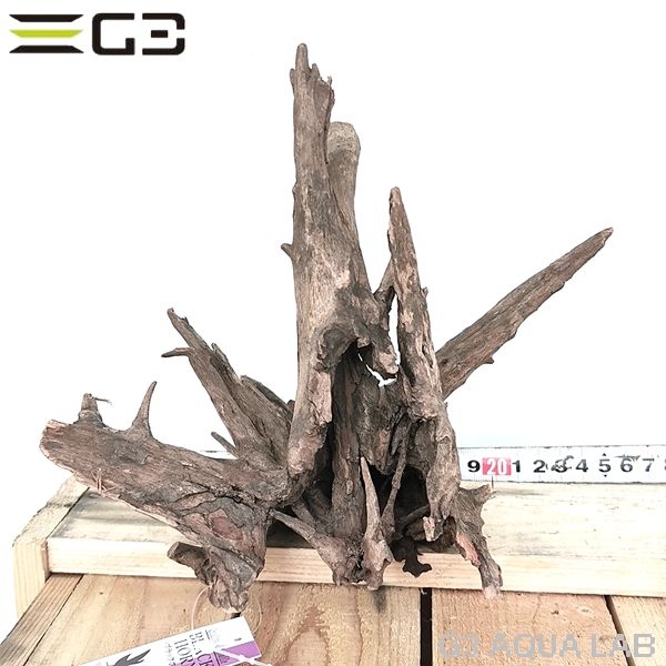 No,609 ソネケミファ ブラックホーン流木 Sサイズ