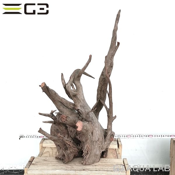 No,1004 ソネケミファ ブラックホーン流木 XXLサイズ