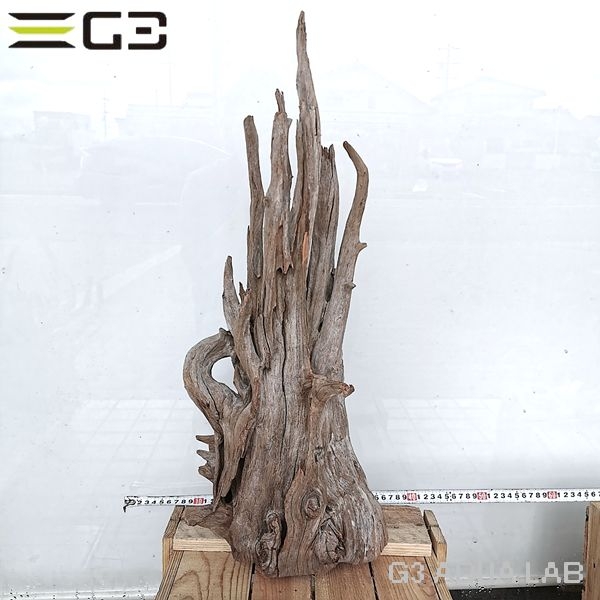 No,1012�����ͥ��ߥե����֥�å��ۡ���ή�ڡ�XXL������